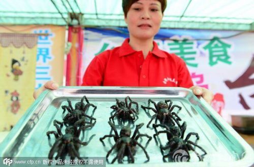 Fried spiders at a Taiwan food festival, Oct 18, 2014. [Photo/CFP]