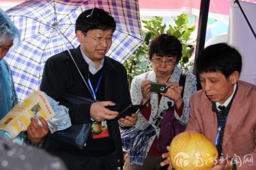邓秀新教授参观马家柚文化节