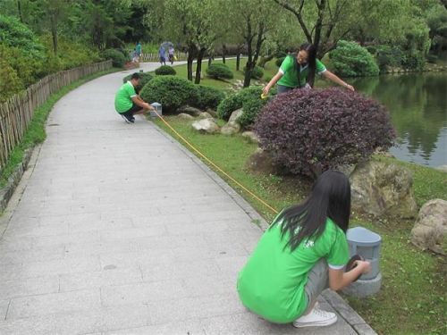 团队成员在公共绿地进行实地测量