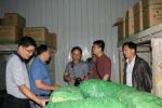 信息学院博士团助力茶乡产业提速升级