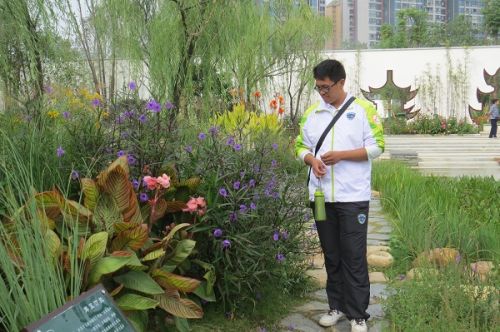 志愿者识别鉴定植物种