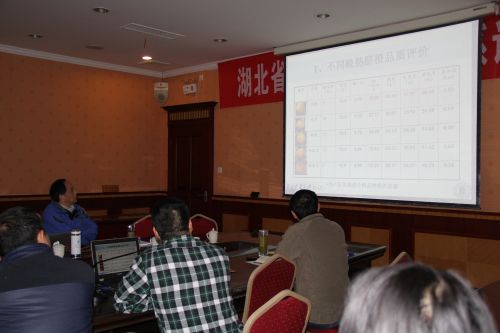 湖北省柑橘产业技术体系年度总结会在宜昌召开2