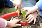“植宝宝”DIY：用绿意与爱心共度植树节