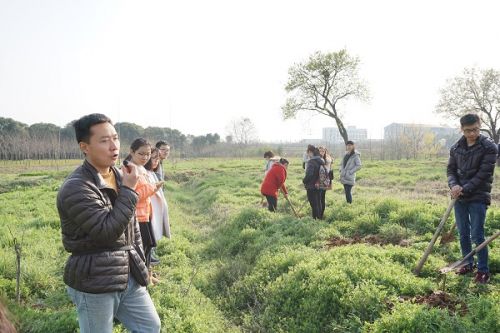 老师指导如何种植才能提高树苗成活率