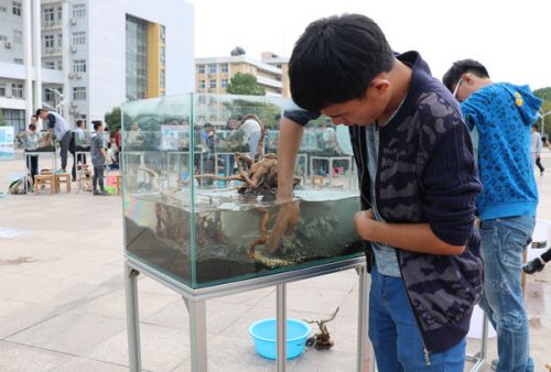 11.2016年水族造景大赛现场（供图：水产学院）