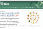 柑橘团队基因组解码“多胚”机理获新进展