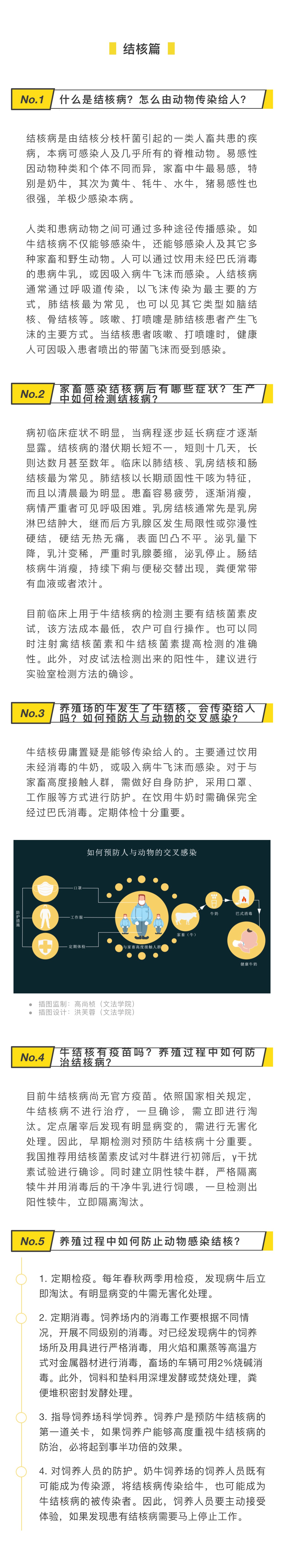 图5 结核篇