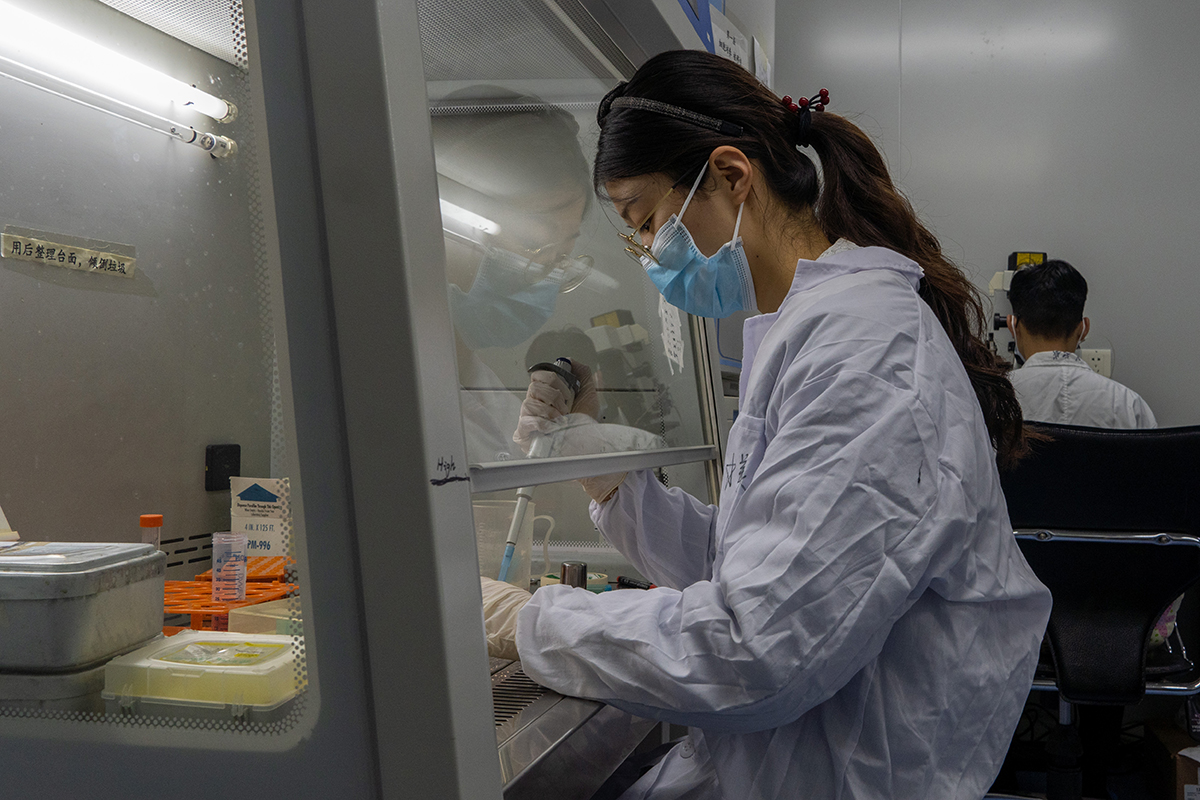 11月6日中午，牟星美在实验动物中心为培养细胞换液，她正在用移液枪取液（学通社记者 孔繁霄 摄）