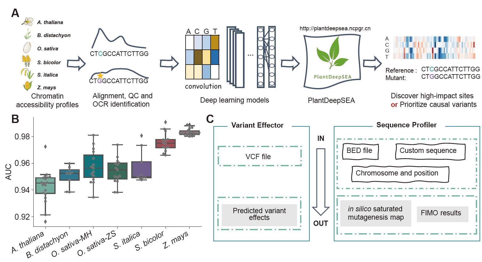 水稻团队发布基于深度学习模型预测植物基因组序列变异调控效应的网络服务