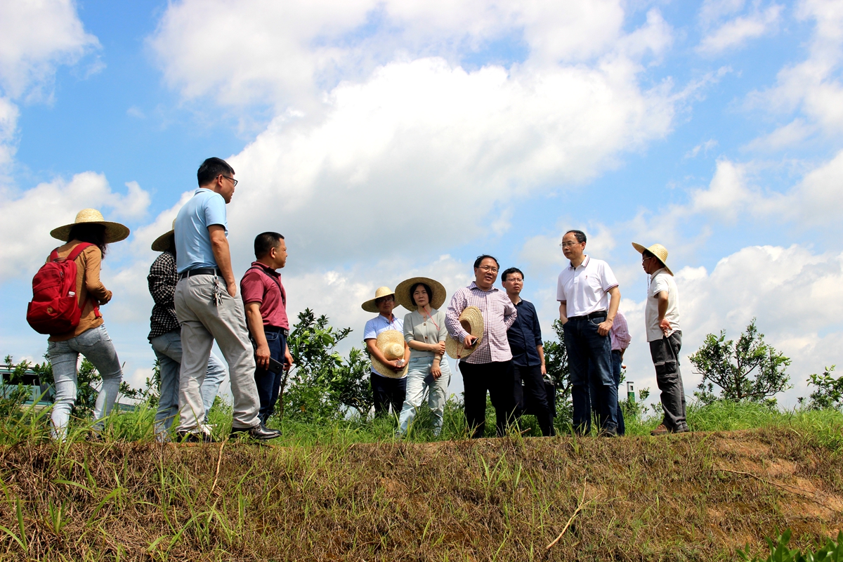 史志华同志(右二)在江西赣州参与水土保持项目验收(受访者 供图)