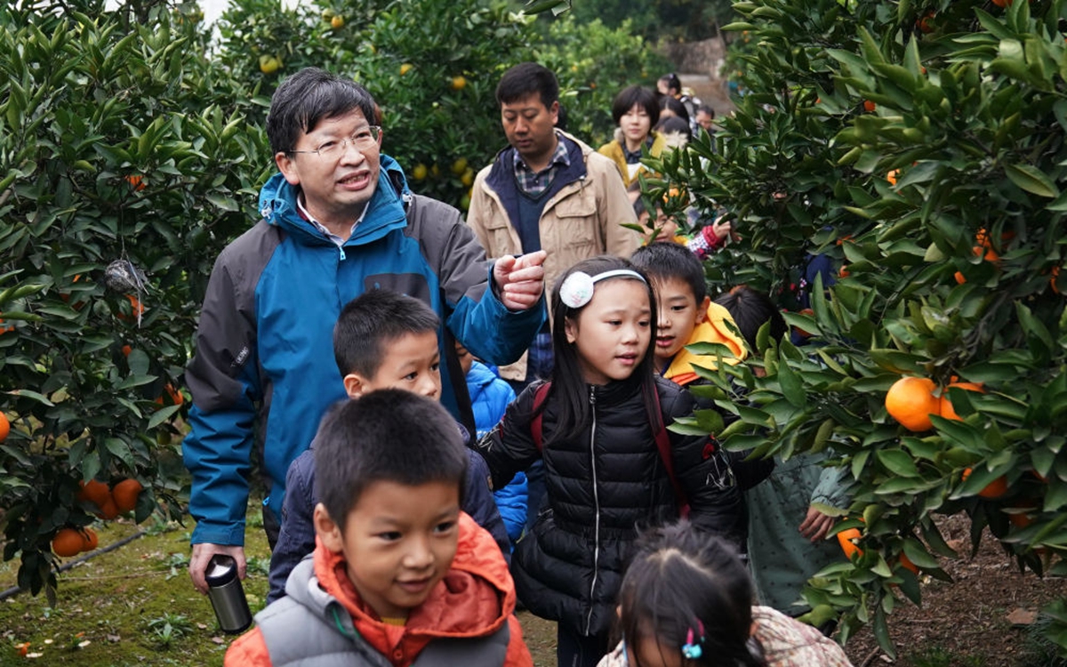 2017年11月19日，邓秀新院士（后左一）带领孩子们在柑橘科研基地参观。新华社记者 程敏 摄