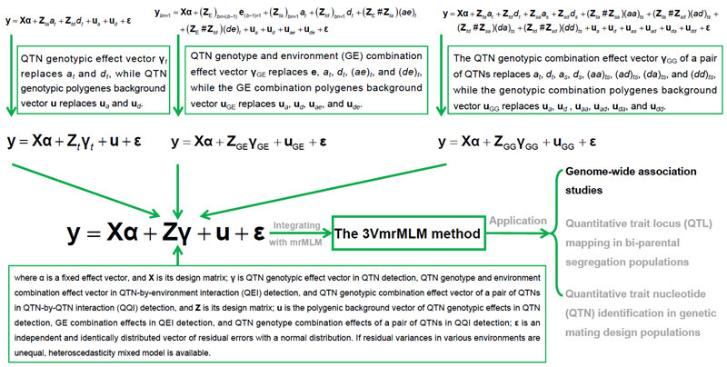 图1. 3VmrMLM方法的统一框架