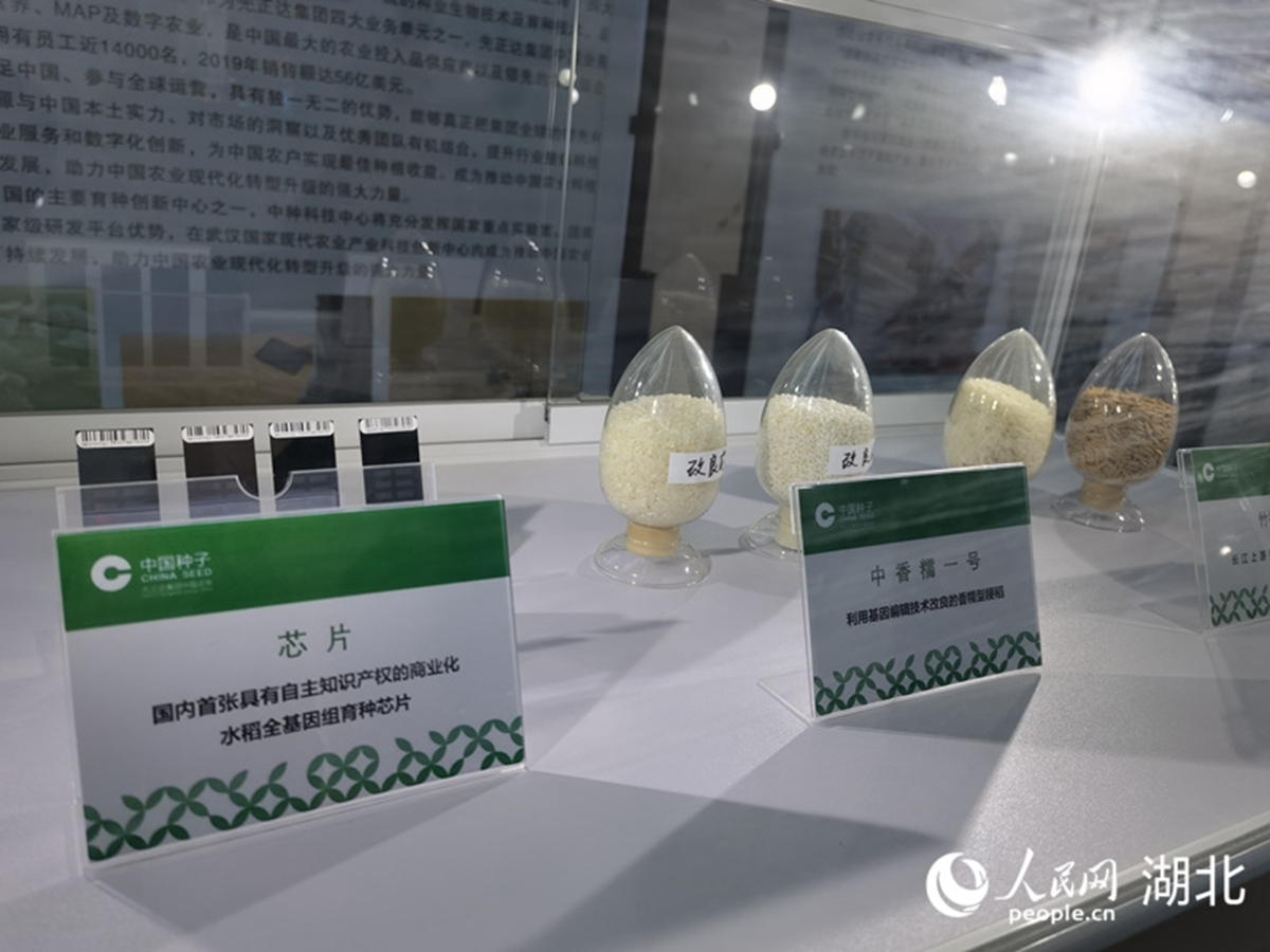 在武汉国家农创中心展示的一批标志性成果。周雯摄