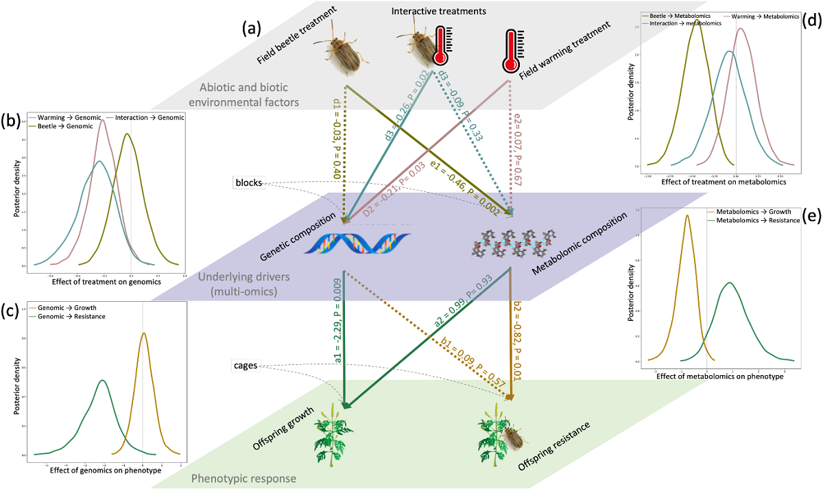 图1 贝叶斯层级模型整合基因组、代谢组和表型组数据