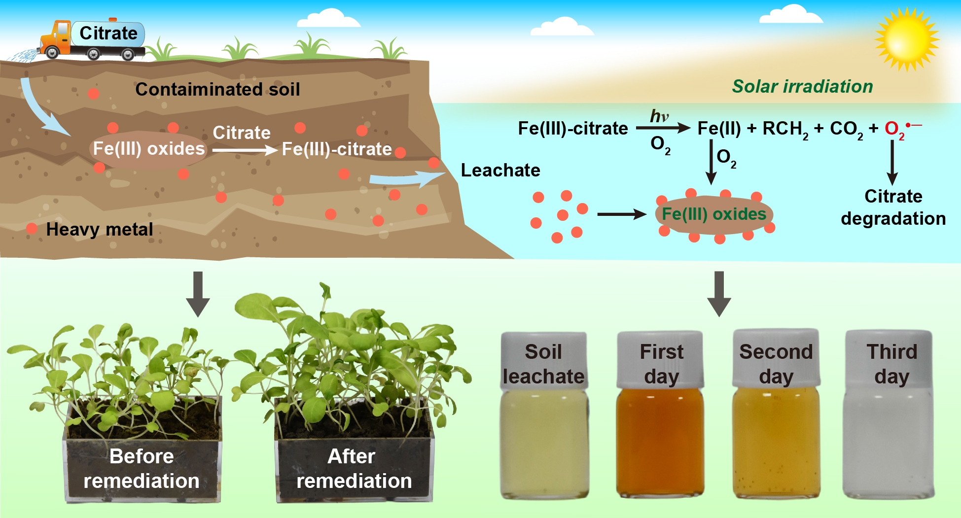 图3 有机酸浸提及光辐照结合的方法用于重金属污染场地土壤修复机理示意图