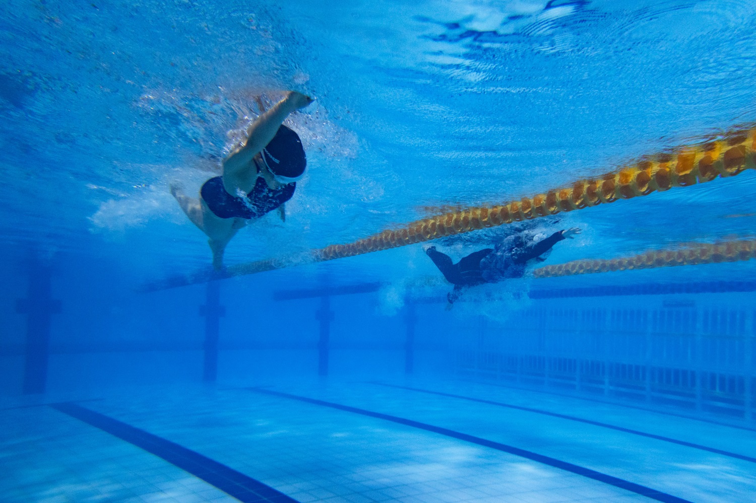 女子50米自由泳决赛，运动员们激烈角逐（学通社记者 周全 摄）
