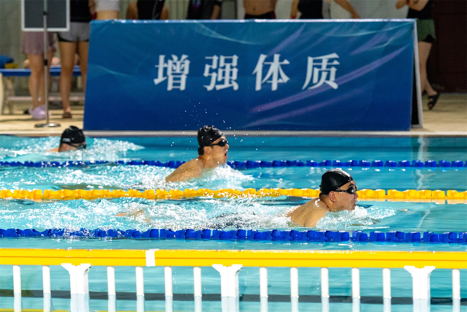 男子50米蛙泳预赛现场，三名运动员争分夺秒向终游去（学通社记者 董超 摄）
