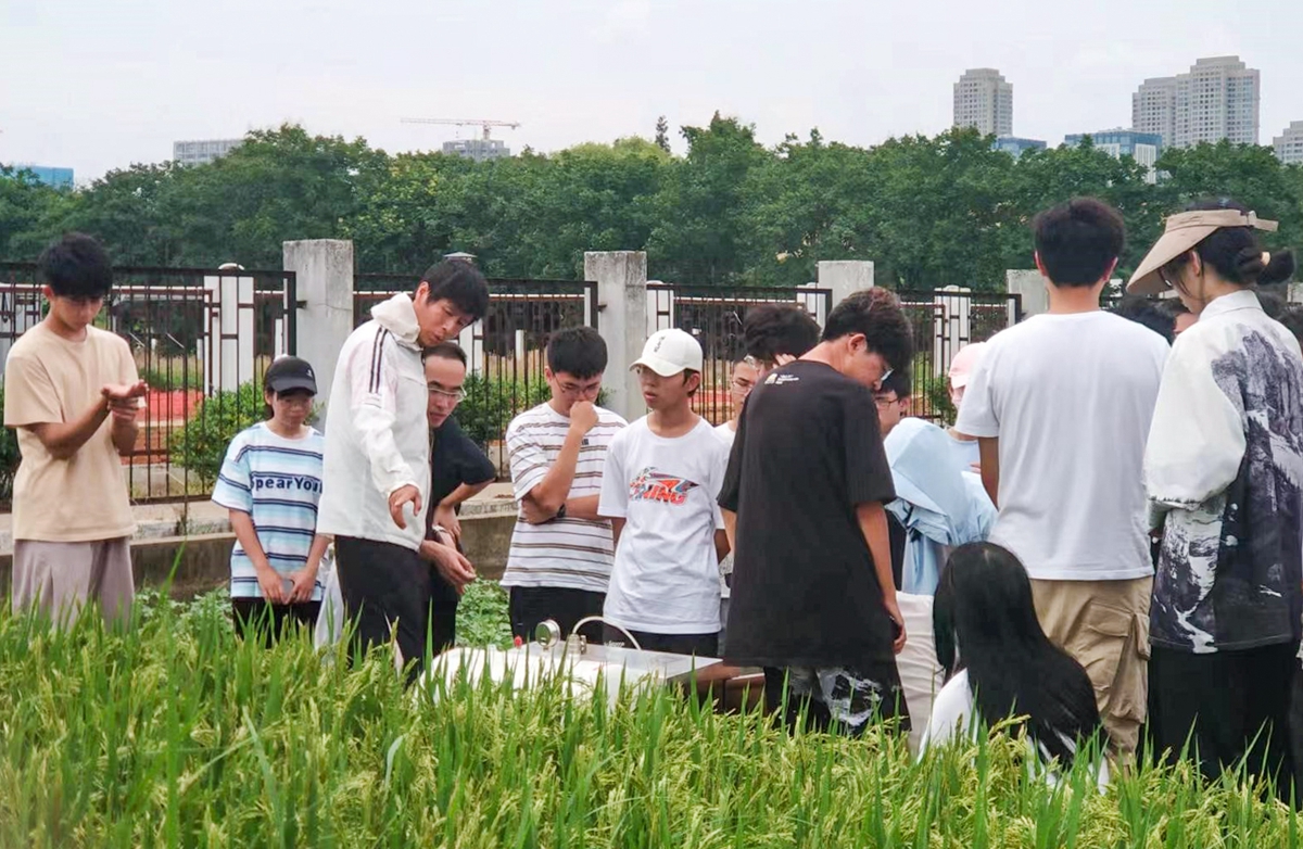李成芳老师与同学们在田间探讨稻田碳排放智慧监测减排设备（通讯员 汤计超 摄）