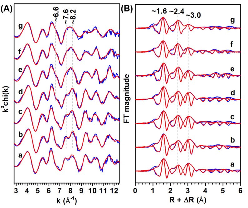 图1 老化8年水钠锰矿样品(Ni10_8y)在不同温度加热后所得样品Ni K边 3次权重扩展X射线吸收精细结构光谱(EXAFS, A) 和对应傅里叶变化谱(FTs, B)。