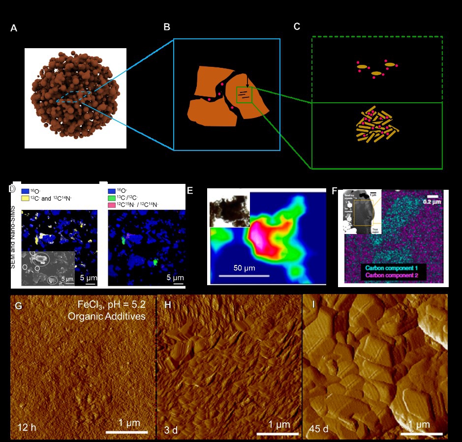 图2： (A-C) 颗粒黏附方式对土壤有机质包埋的示意图。(D-F) 扫描电子显微镜、纳米二次离子质谱、透射电子显微镜观察有机-矿物团聚体对有机质的包埋。（G-I）原子力显微镜原位观察铁氧化物对土壤有机组分的包埋过程。