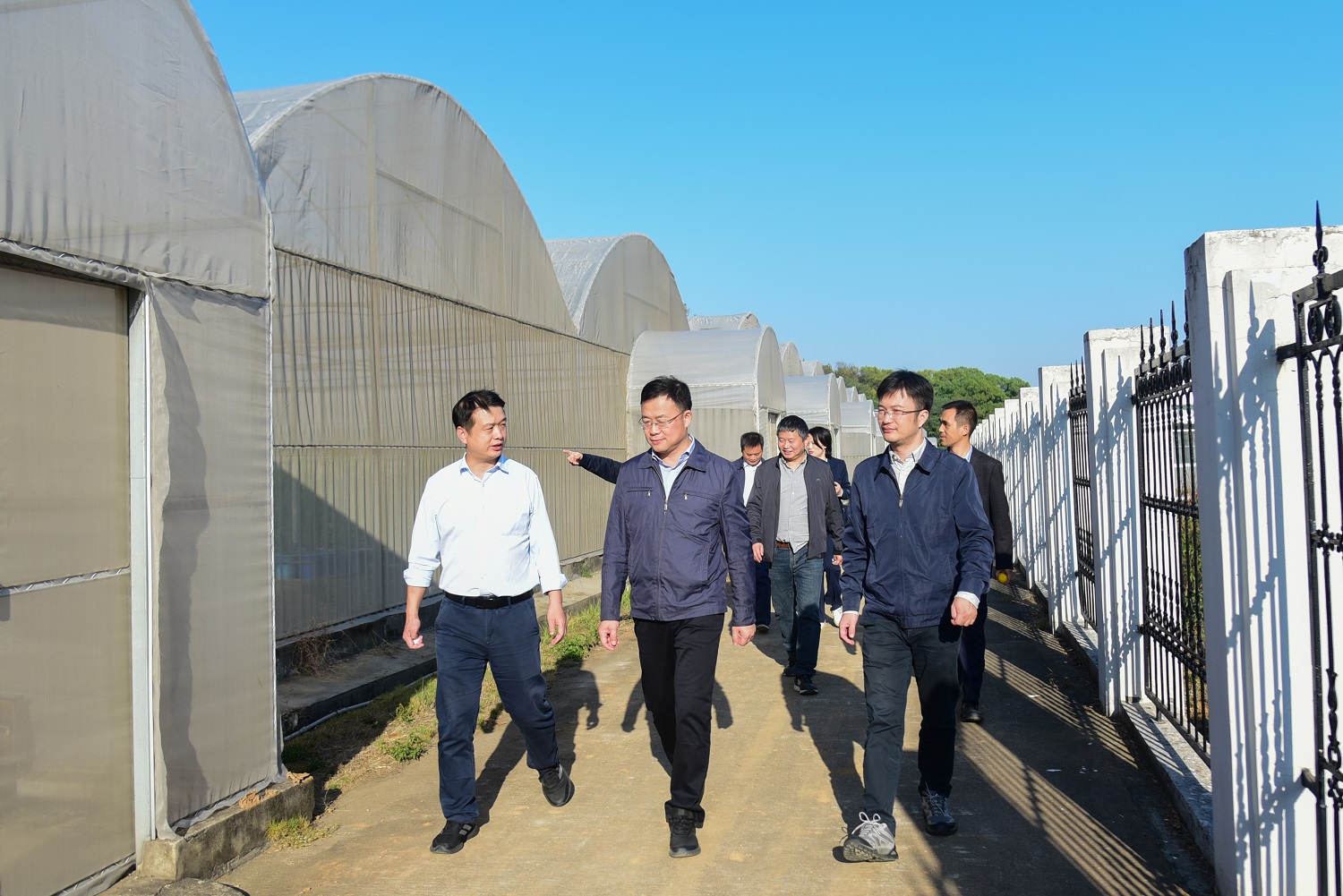 吴骏副厅长走访国家柑橘育种中心试验基地 （通讯员 程玉华 摄）