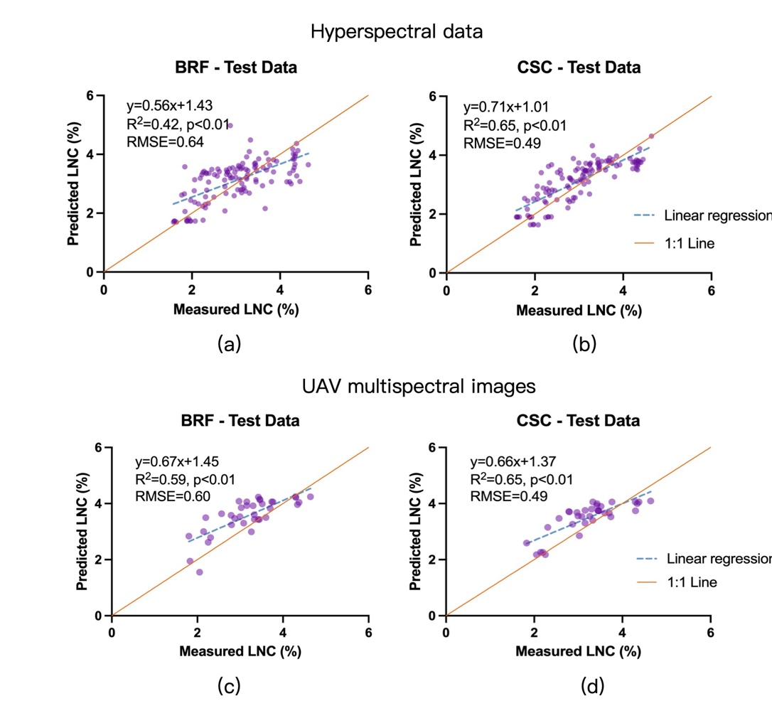 图2 基于传统的原始光谱反射率（BRF）和近红外反射率植被指数解耦后得到的冠层散射系数（CSC）估测的叶片氮含量（LNC）与真实值的对比。