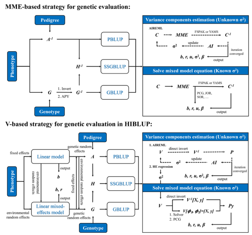 HIBLUP计算策略与国外现有工具MME计算策略的比较。针对基因组大数据的计算特点，HIBLUP首创基于V矩阵的“HE+PCG”策略，可完全避免遗传评估计算过程中的大矩阵求逆，且V矩阵的维度相比于MME方程更小，尤其适用于多随机效应模型，在计算效率和内存需求上， HIBLUP全面优于现有育种计算工具。