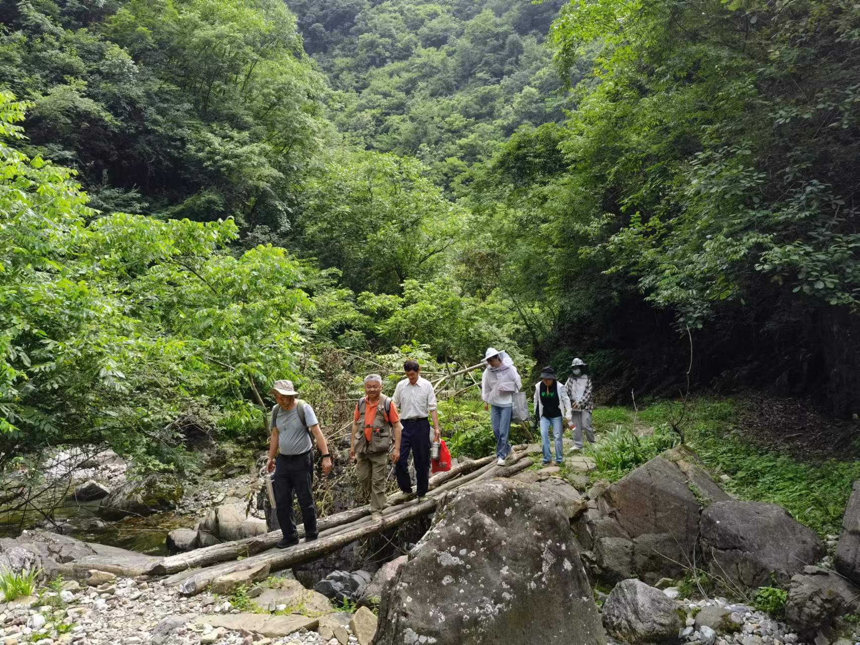 李翔老师带实践团队走访桐木沟养蜂基地