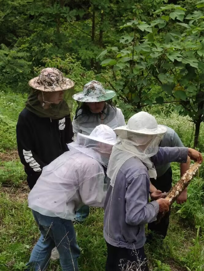李翔和方芳老师带领实践团与蜂农交流检查蜂群状态（李翔 供图）