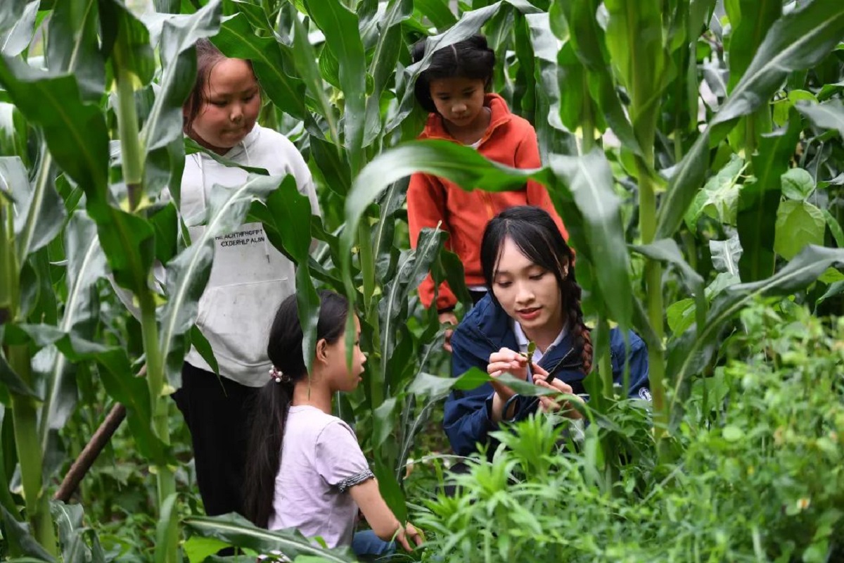 志愿者杨子萱在给学生上玩转园艺课堂，观察苹果柿树的发芽情况