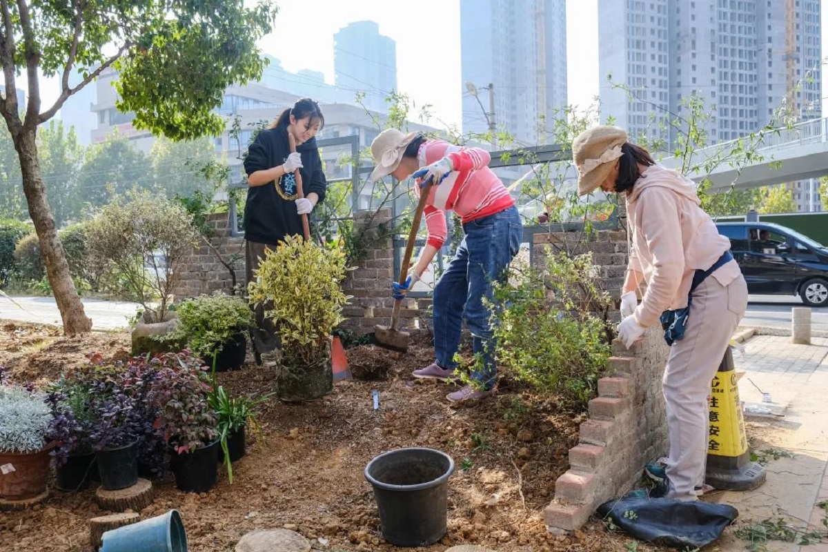 教师志愿者、学生志愿者和玫瑰湾社区居民共同缔造社区花境