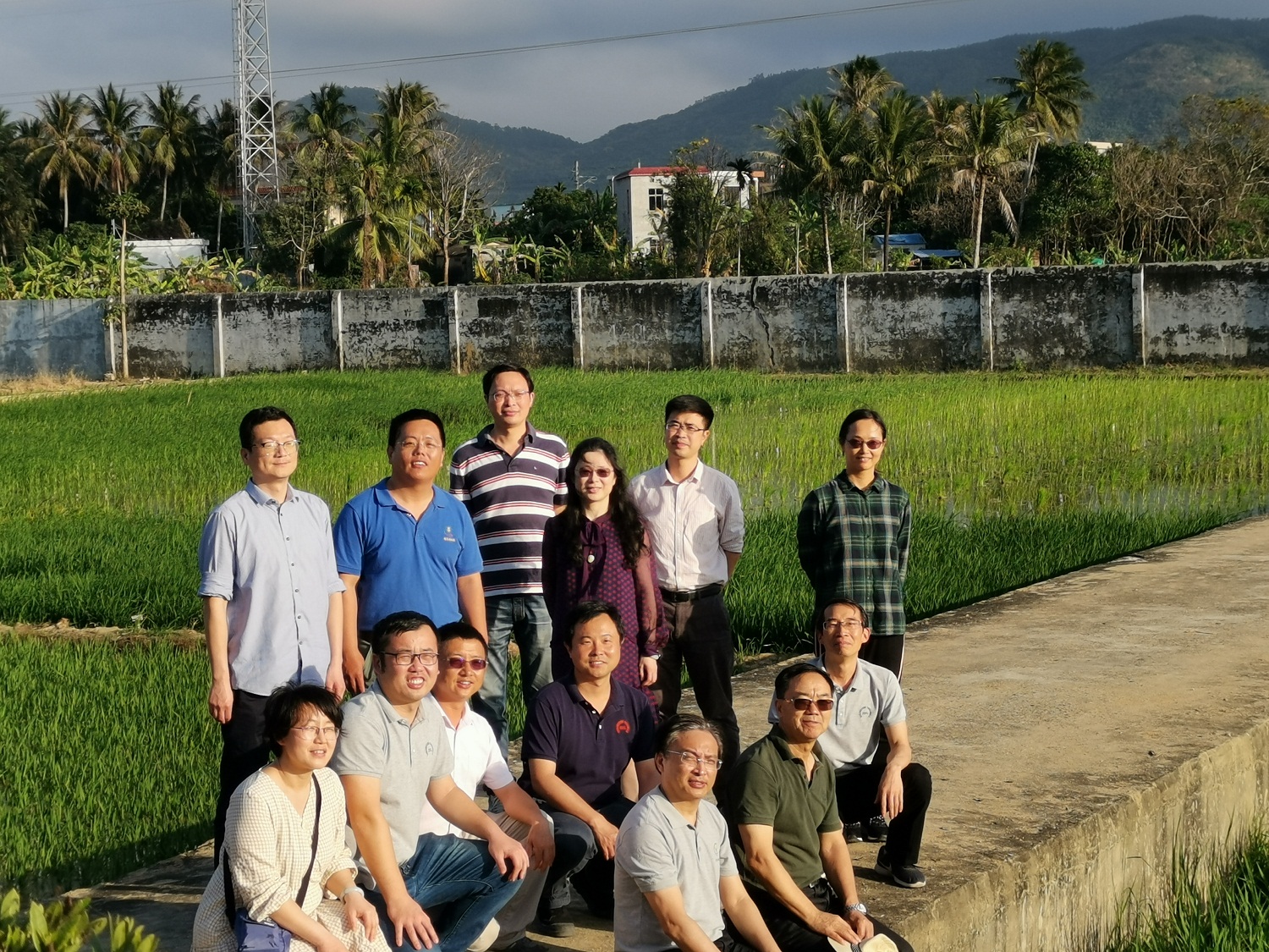 水稻团队教师在海南南繁基地开展育种工作