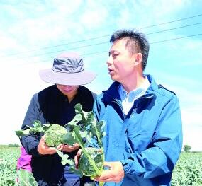 李占省向农户讲解西兰花种植的注意事项