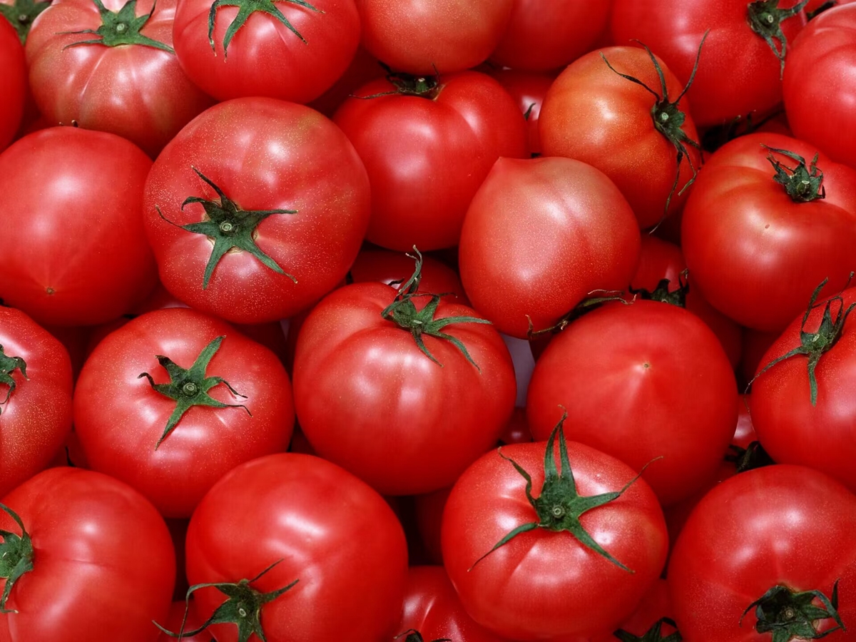 大宗商品化的全红番茄