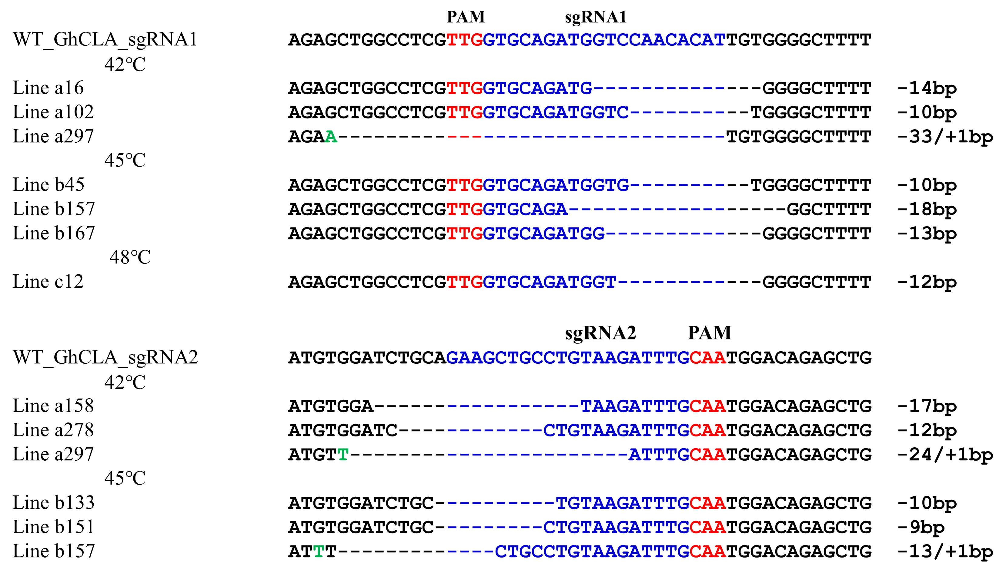 图1. CRISPR/Cas12b 系统介导的棉花基因编辑（王琼琼，金双侠，张献龙等. 2020, Plant Biotechnology Journal）