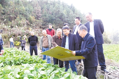 严建兵（前排右二）在湖北省崇阳县调研田间生产。