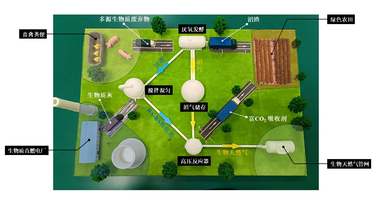 作品模型：负碳沼气高值化利用系统（通讯员 孙涛 供图）