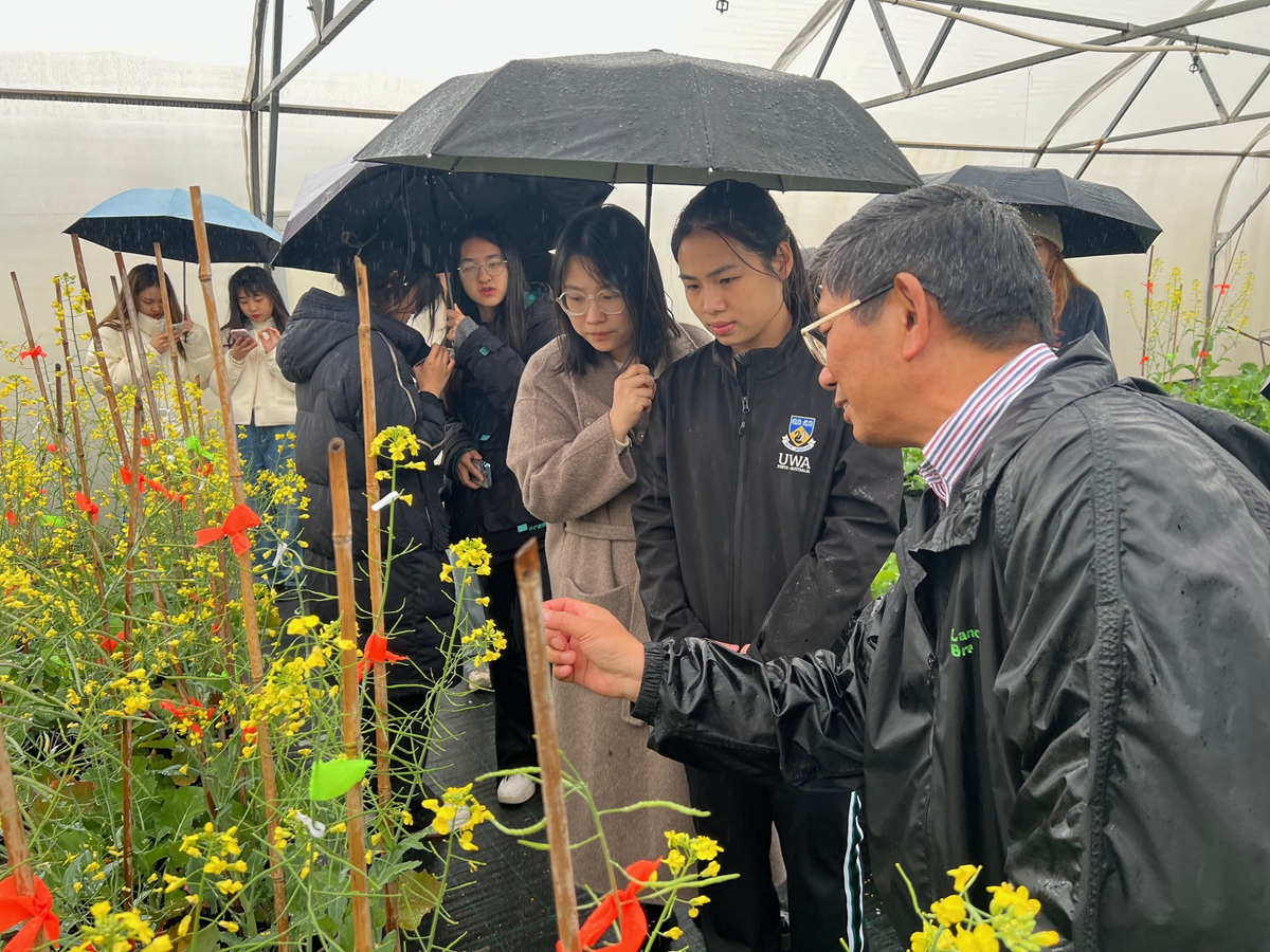 参观农业种植基地（供图人 通讯员 张博）