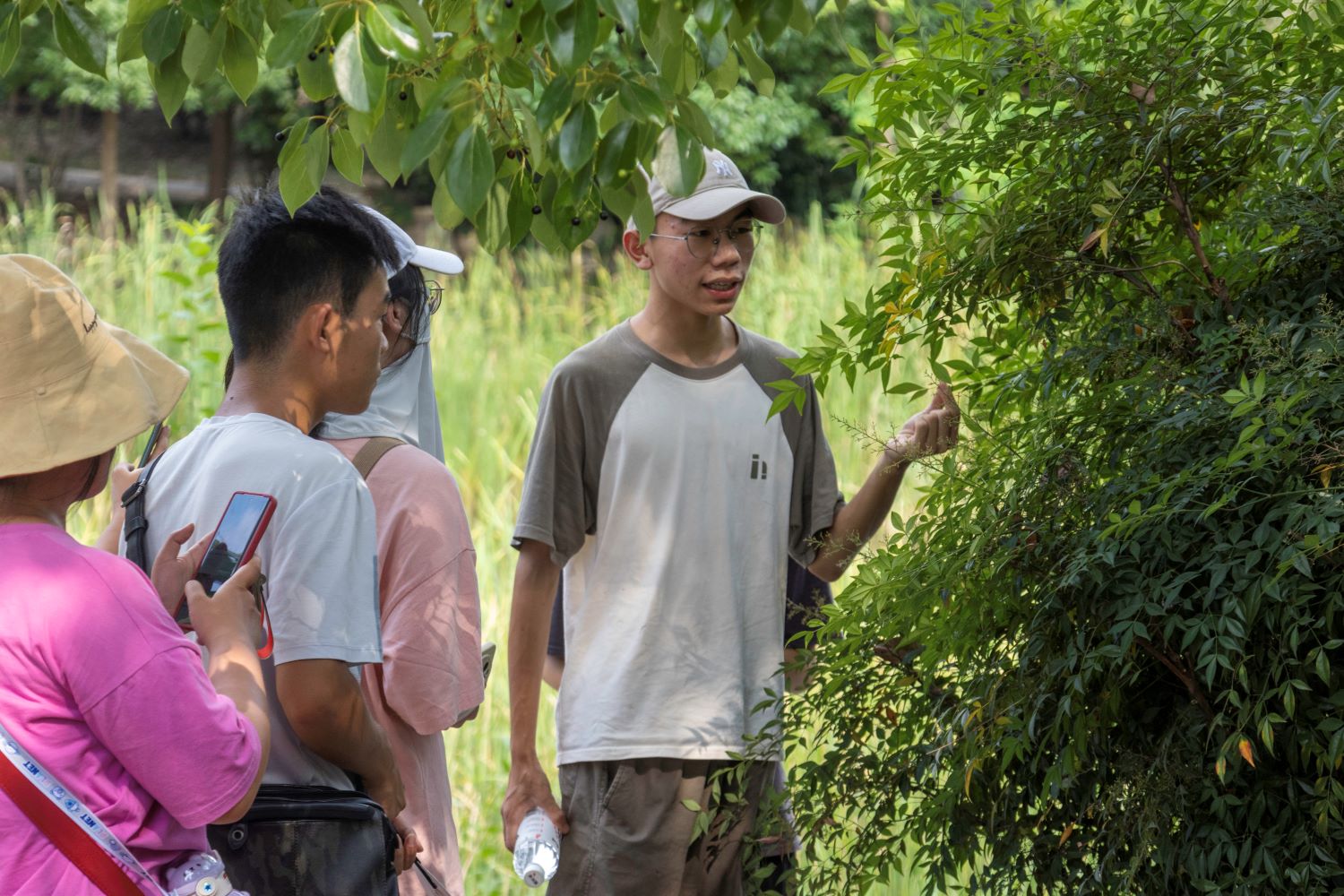 认识植物（学通社记者 李佳怡 摄）