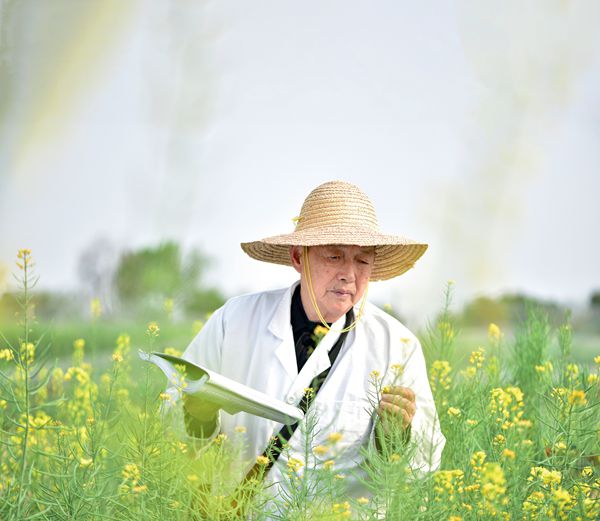 2022年4月，傅廷栋在华中农业大学的试验田查看油菜长势。（刘涛 / 摄）