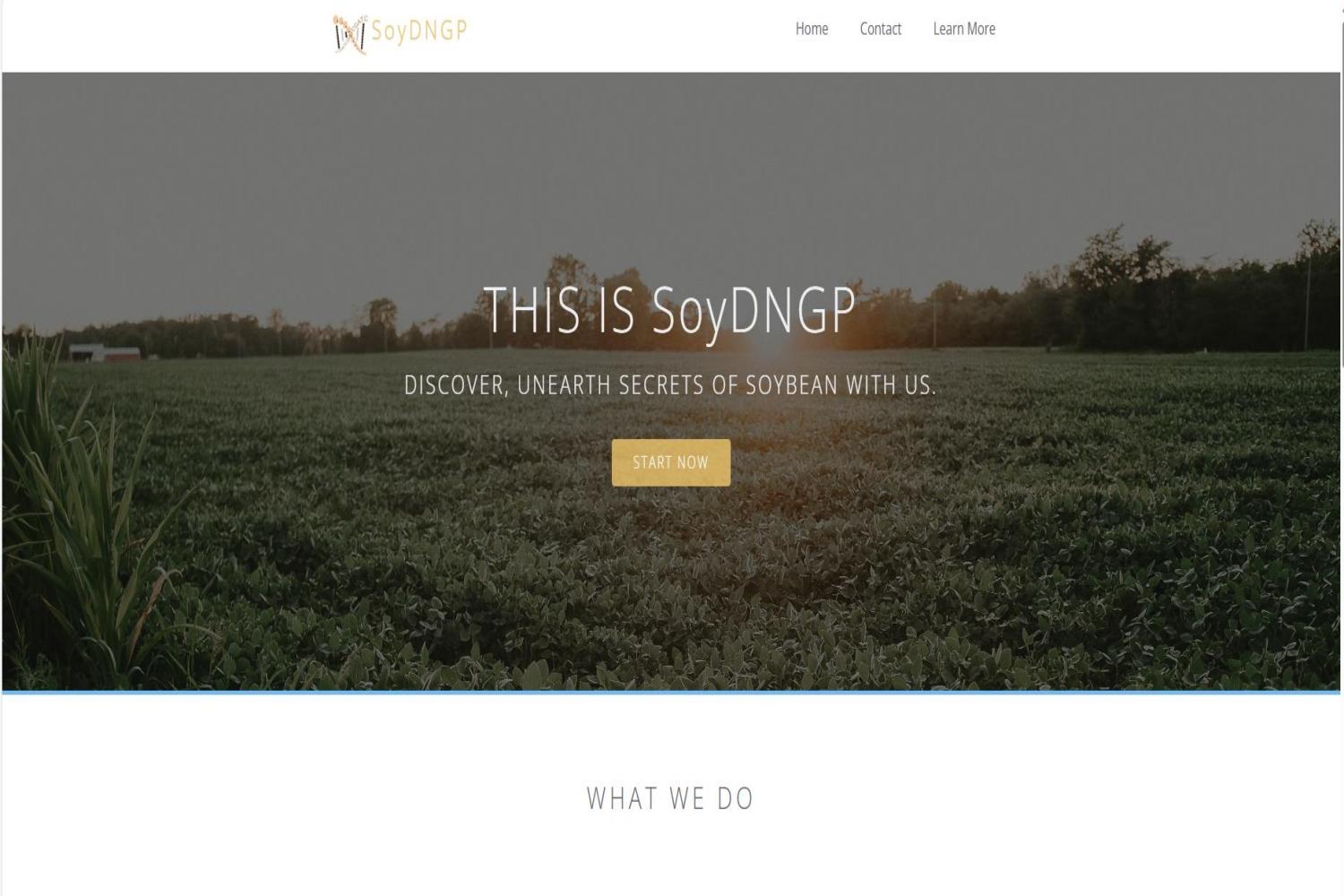 SoyDNGP网页界面