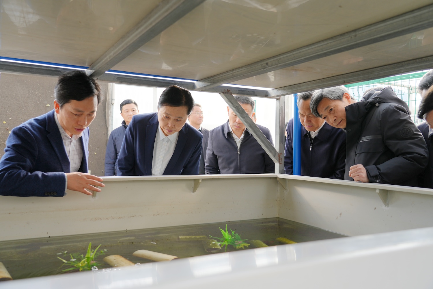 王艳玲一行赴水产科研基地，听取顾泽茂教授汇报优质小龙虾新品种培育情况