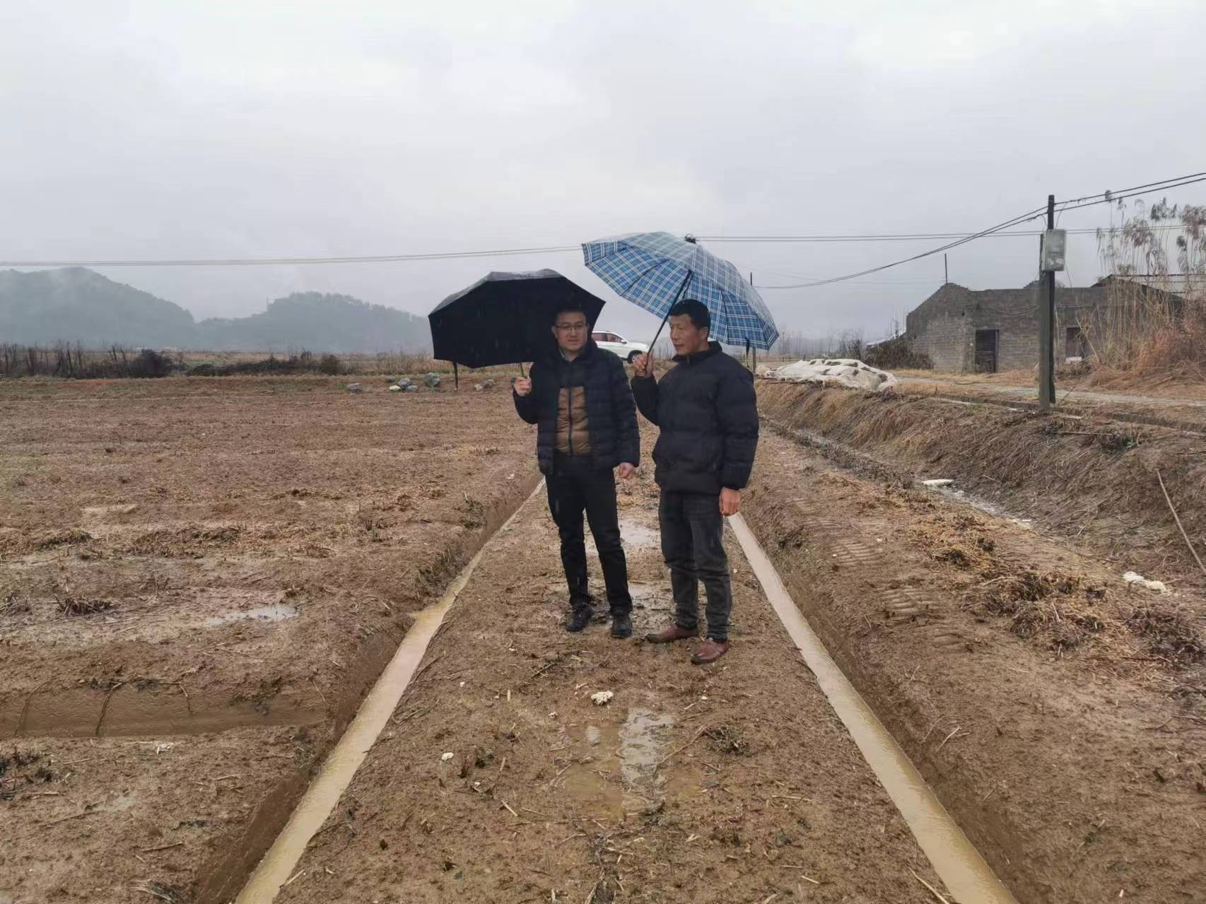 刘立军副教授（左一）在阳新苎麻种植大户基地开展技术指导