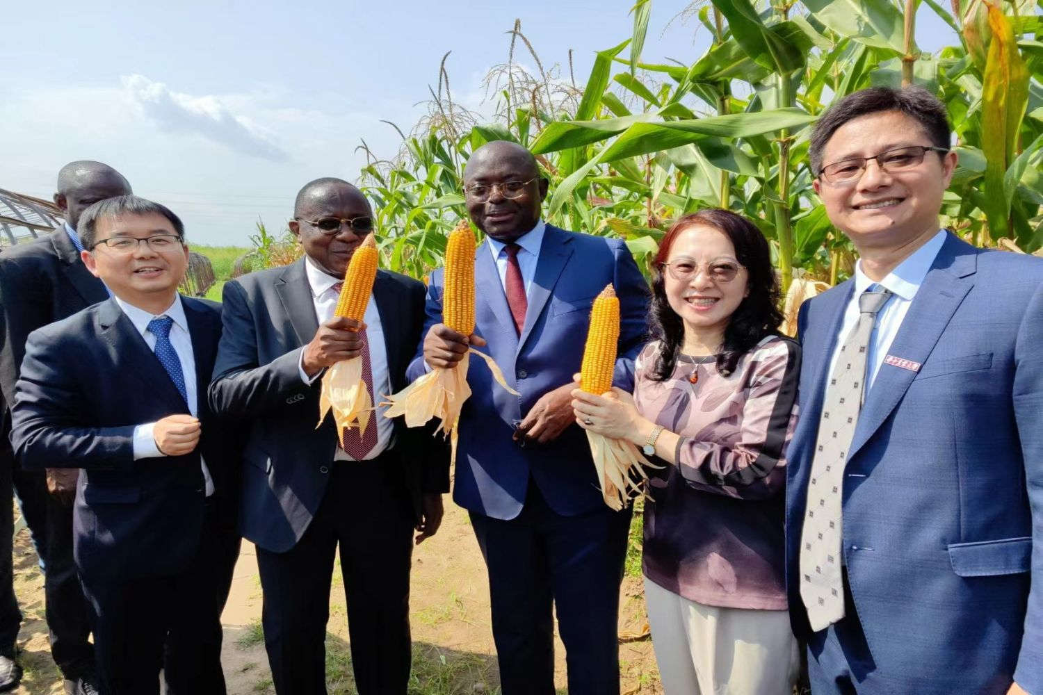 刚果（布）农牧渔业部部长等参观玉米团队试验田