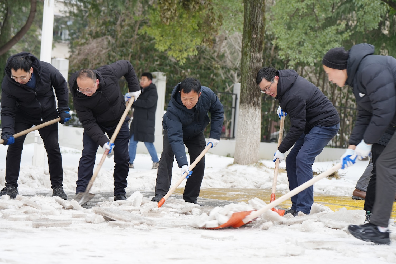 副校长郭刚奇与同事们清理狮子山大道上的积雪（记者 晏华华 摄）