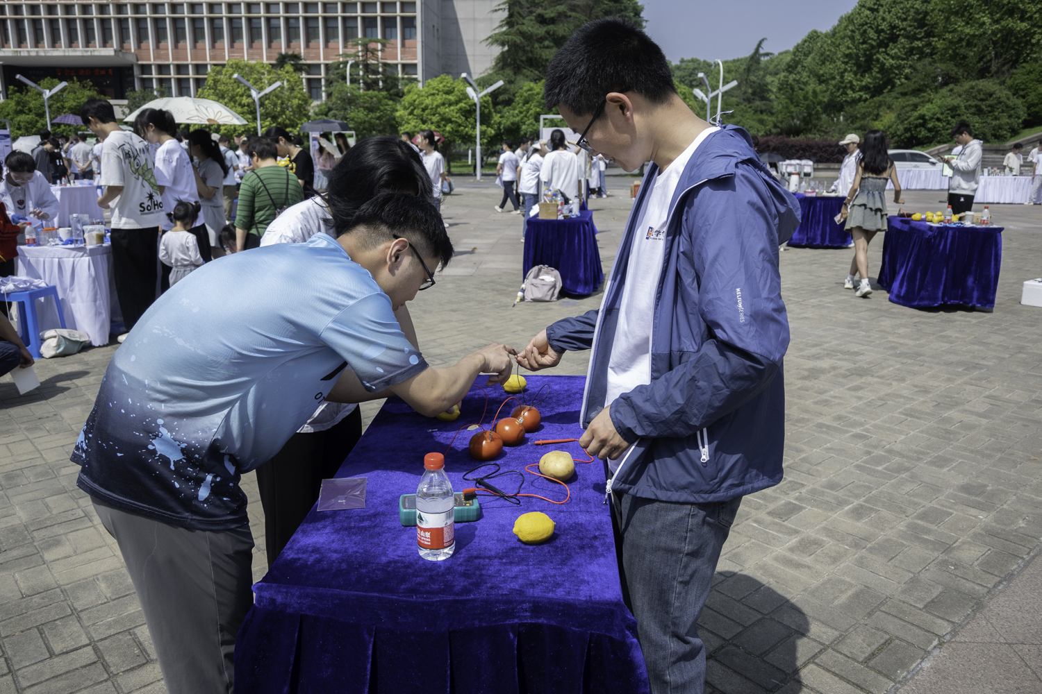 学生体验水果电池的制作（学通社记者 高婉茹摄）