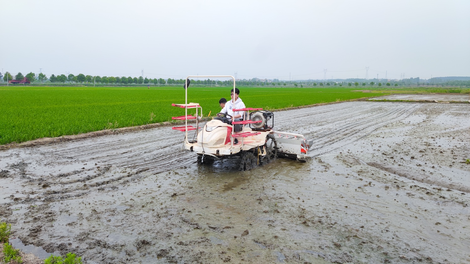 2BD-10型再生稻精量穴直播机（工学院供图）