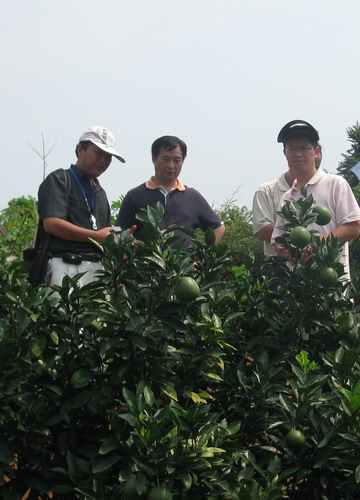 家彭抒昂教授,胡承孝教授及谭启玲副教授在湖南农业大学李大志副教授