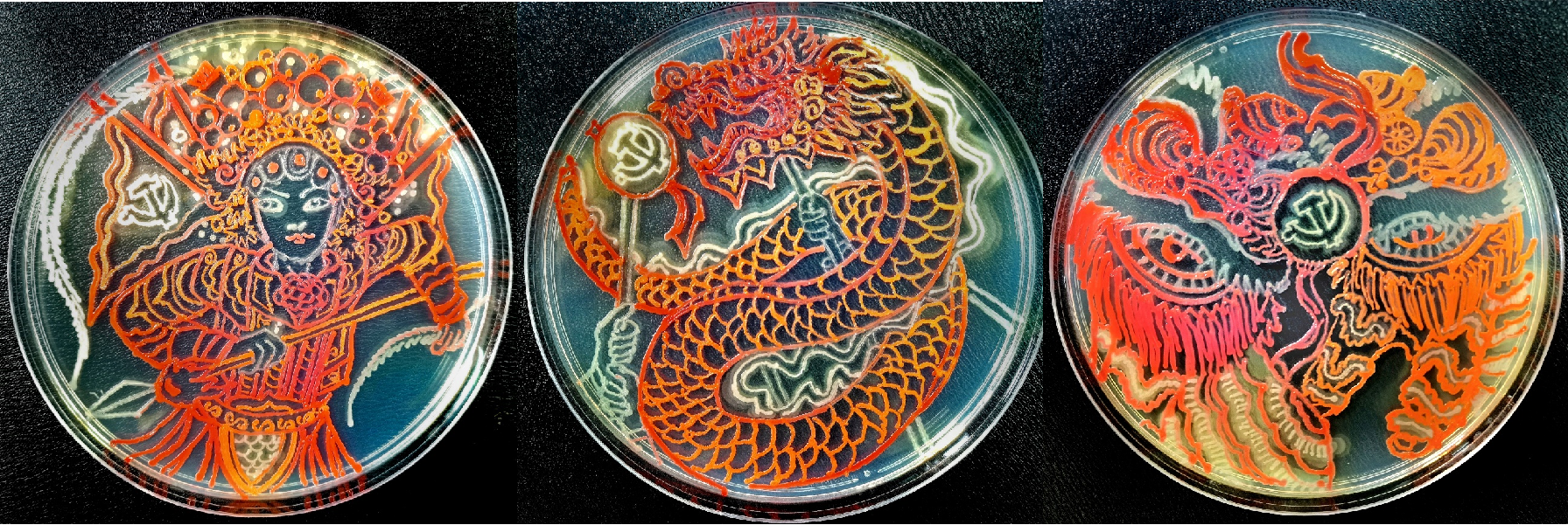 微生物创意主题的画图片